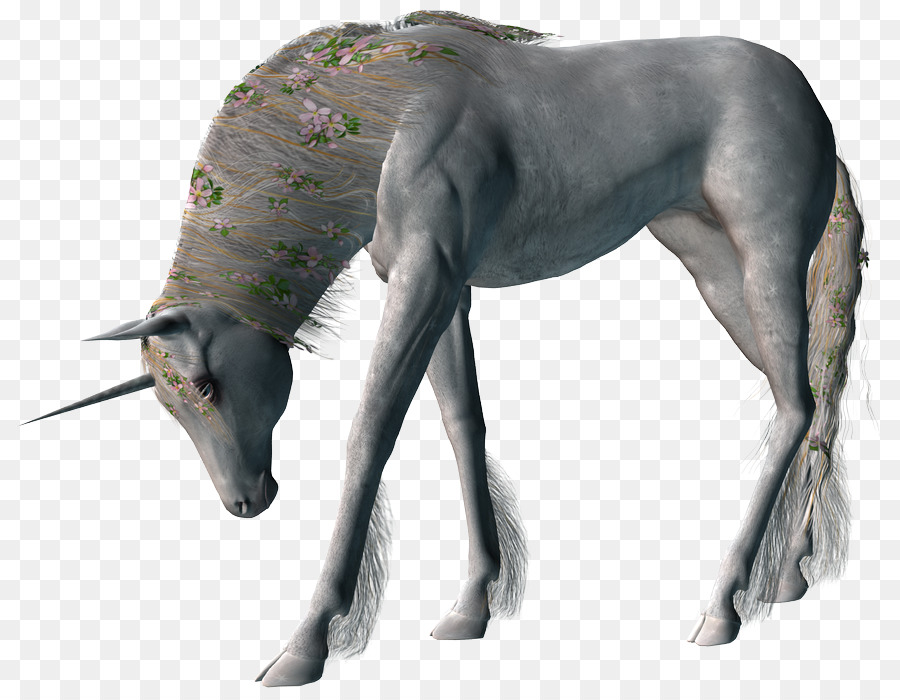 Unicornio，Fantasía PNG