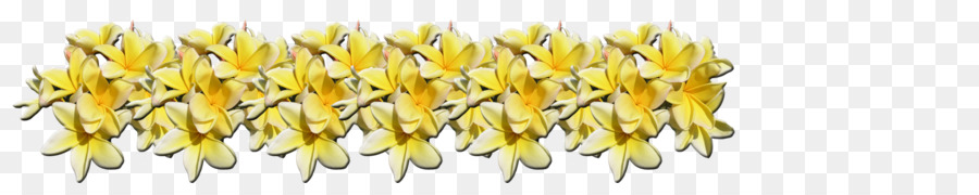 Flores Amarillas，Decoración PNG