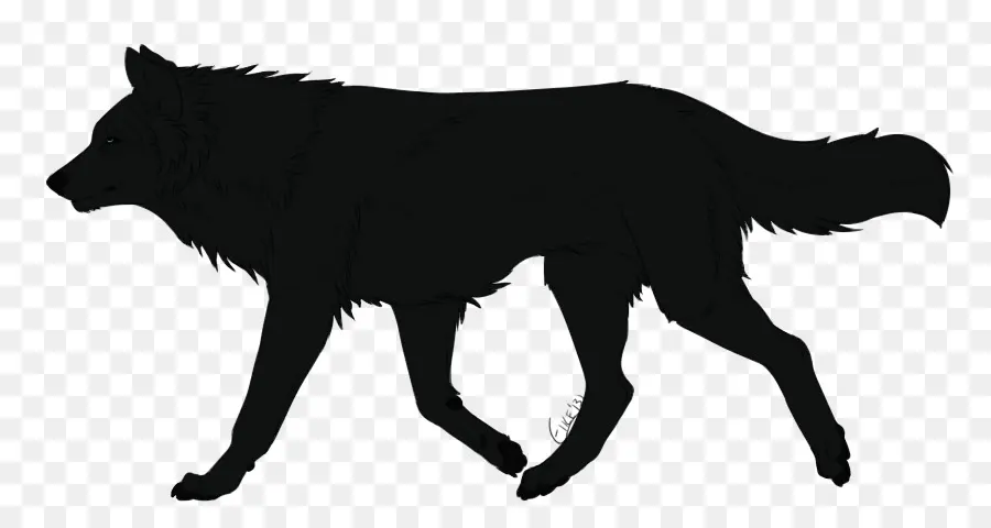 Lobo Caminando，Dibujo PNG