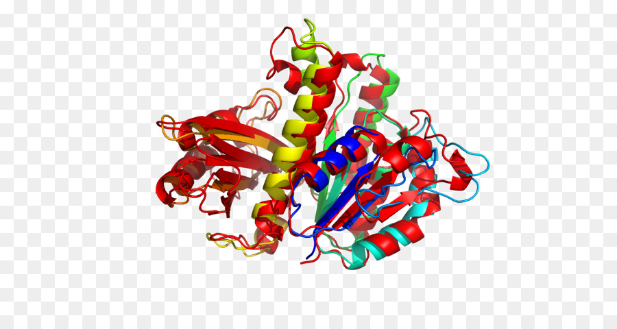 Estructura Proteica，Molécula PNG