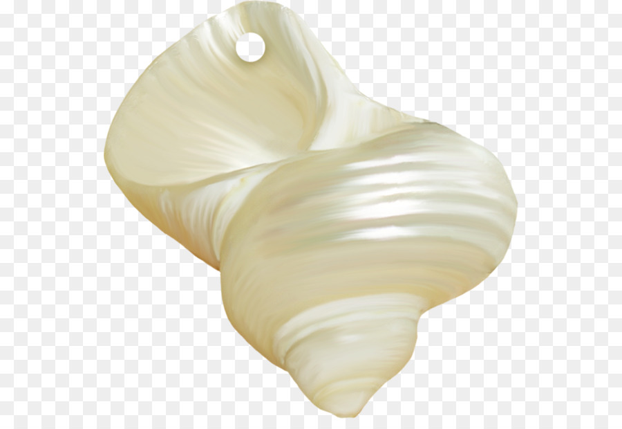 Concha，Shankha PNG