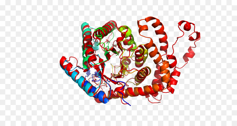 Estructura Proteica，Molécula PNG