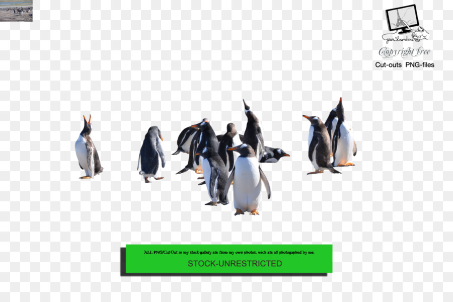 Penguin，Descargar PNG