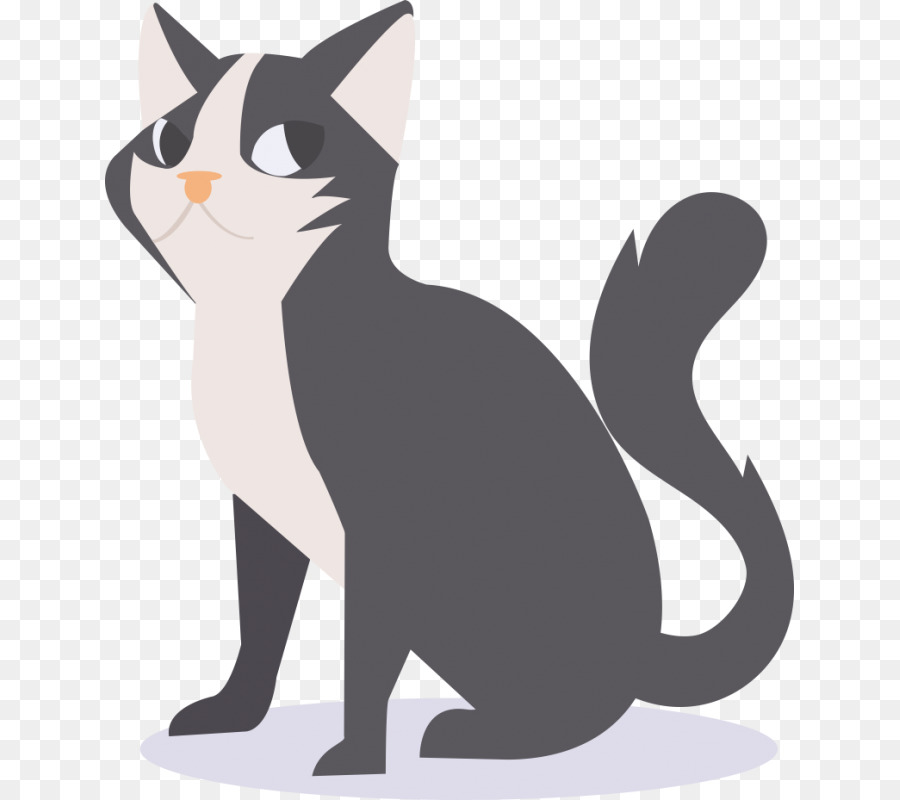 American Shorthair，Gatito PNG