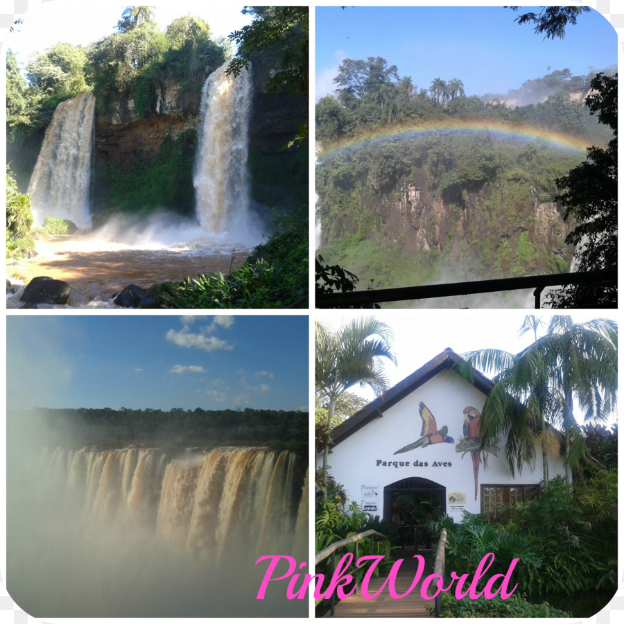 Cascada，La Reserva Natural De PNG