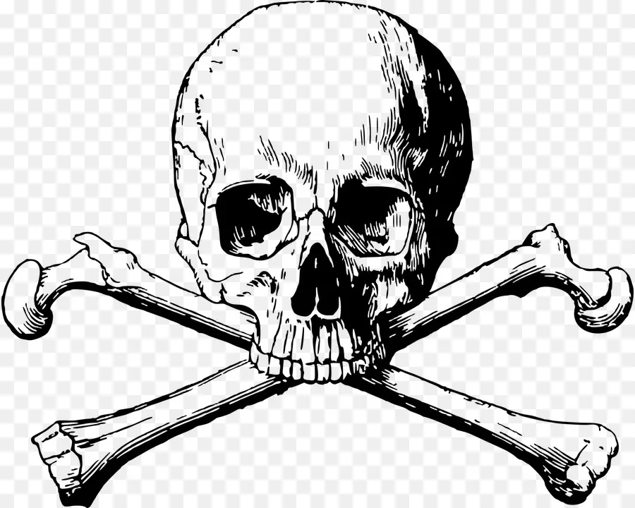 Cráneo Y Huesos，Cráneo Y Bandera Pirata PNG
