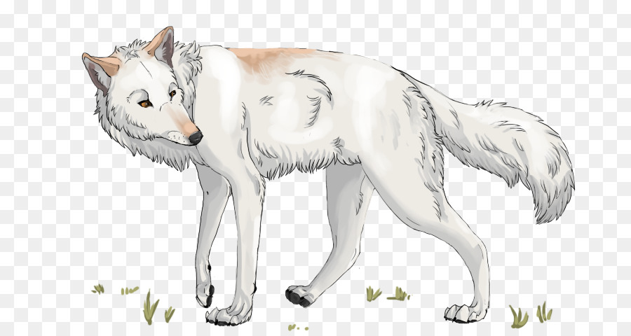 Lobo Gris，Gato PNG