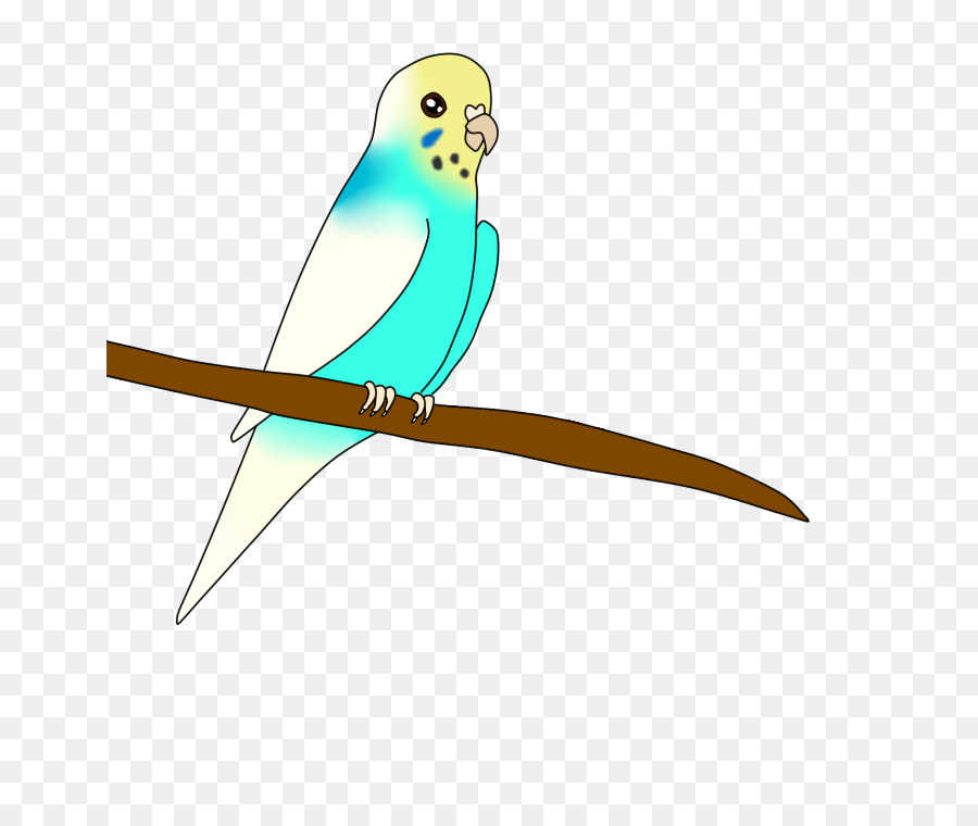 Guacamayo，Perico PNG