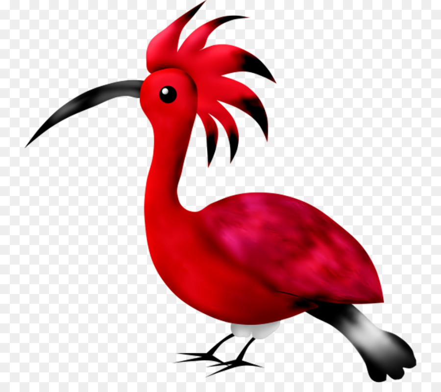 Pájaro，Pato PNG