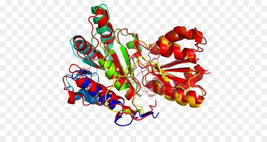 Estructura Proteica，Molécula PNG