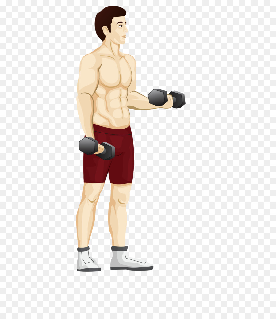 Peso Muerto，Entrenamiento Con Pesas PNG