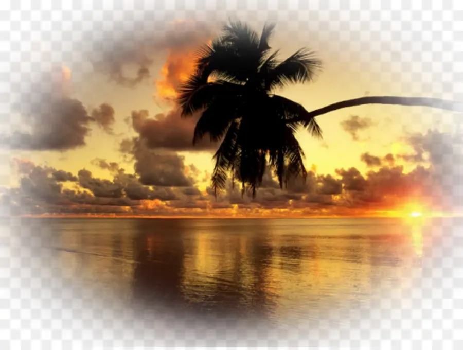 Playa Del Atardecer，Atardecer PNG