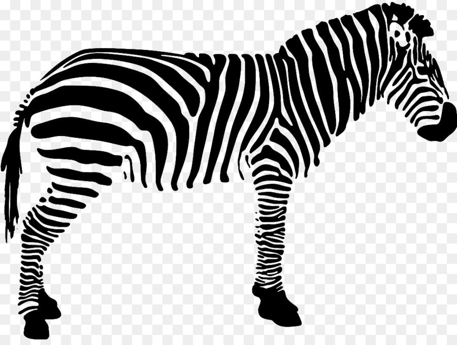 Quagga，En Blanco Y Negro PNG