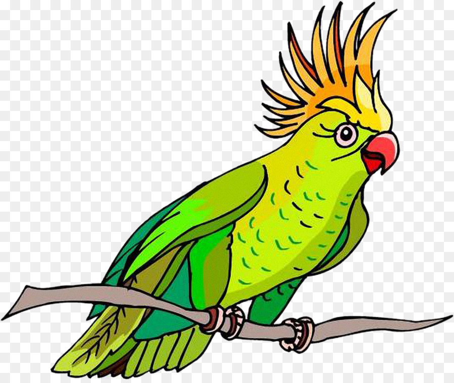 Pájaro，Perroquet PNG