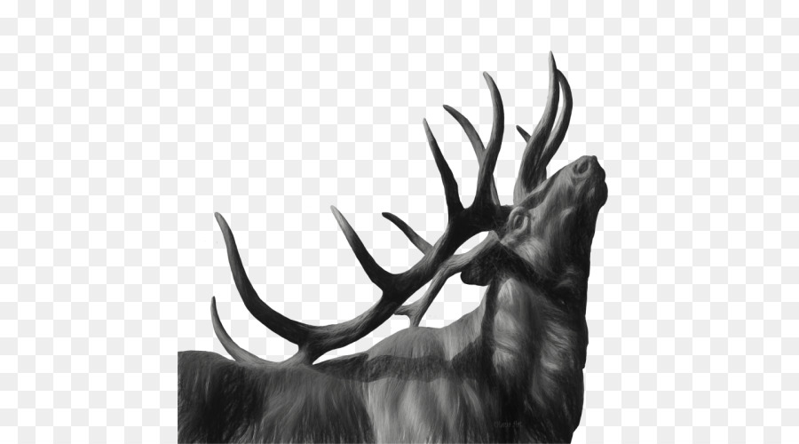 Camiseta，Elk PNG