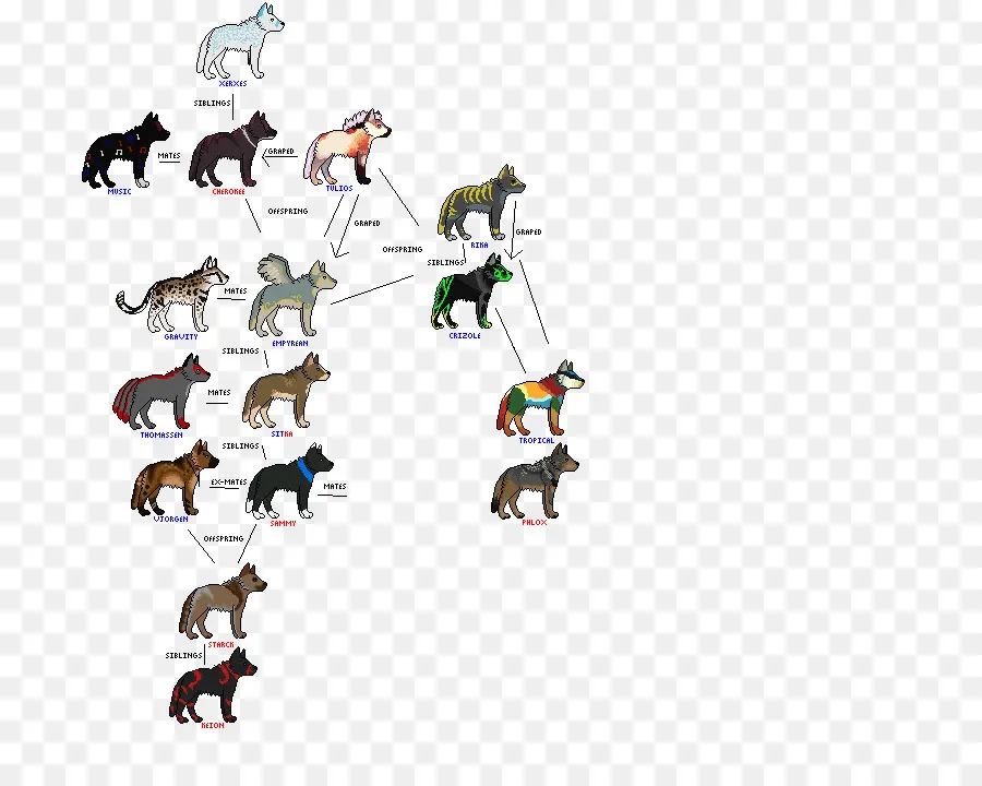 Árbol Genealógico De Animales，Animales PNG