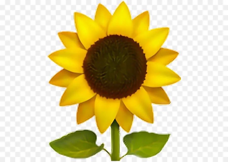 Emoji，Común De Girasol PNG