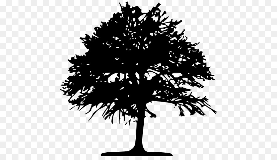 árbol，Silueta PNG