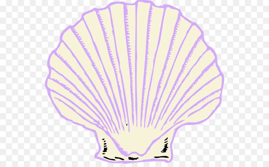 Concha，Oystershell PNG