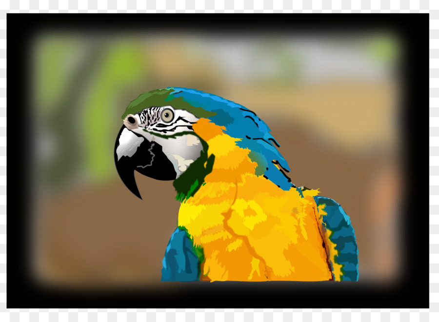 Guacamayo，Blueandyellow Guacamayo PNG