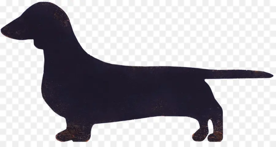 Dachshund，Flatcoated Retriever PNG