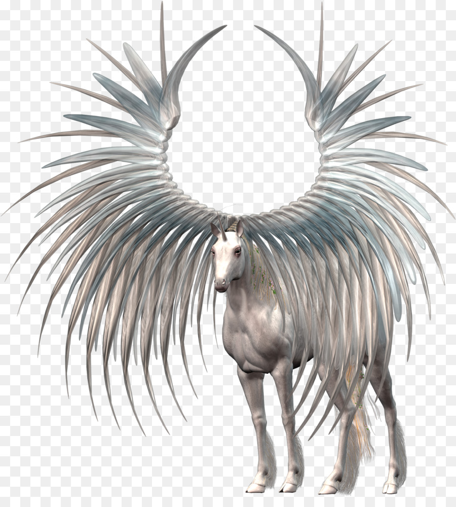 Unicornio，Caballo PNG