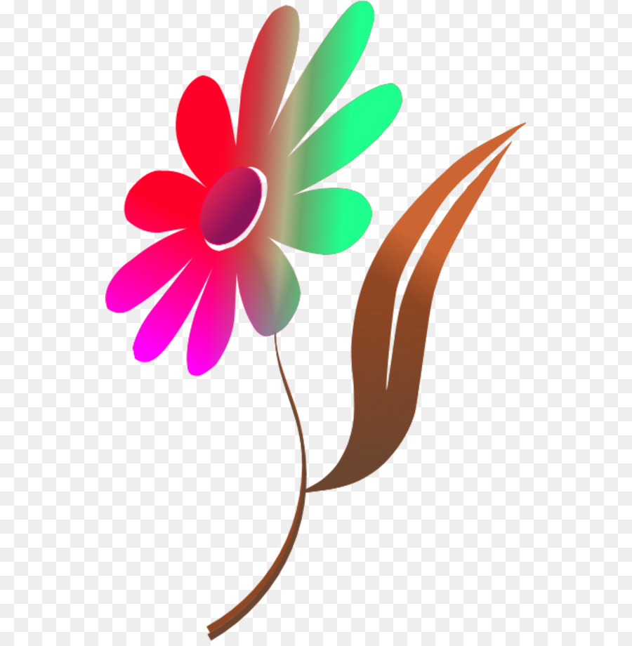 Flor，Color PNG