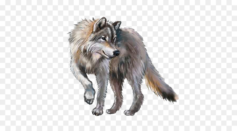 Lobo Gris，Royaltyfree PNG