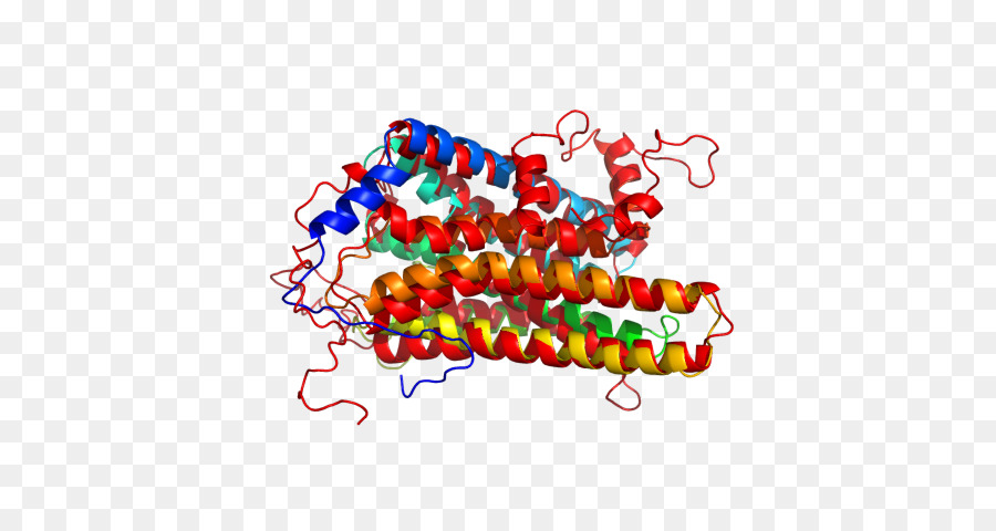 Estructura Colorida，Molécula PNG