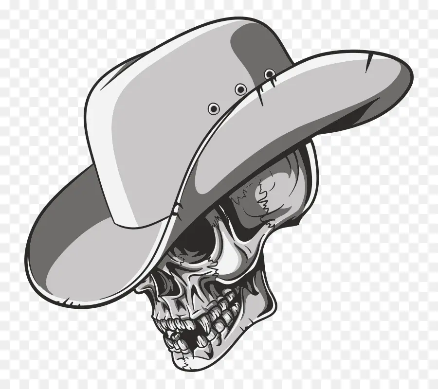 Sombrero De Vaquero，Vaquero PNG