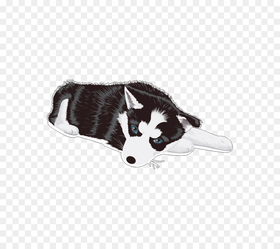 Cachorro Husky，Acostado PNG