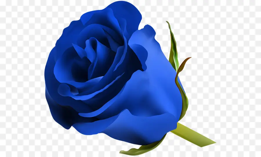 Rosa Azul，Florecer PNG