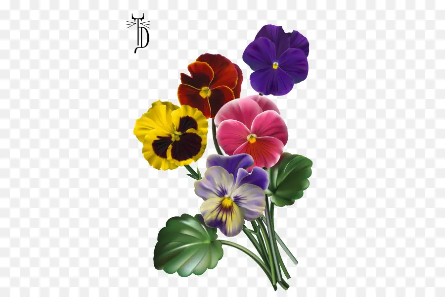 Pansy，Una Fotografía De Stock PNG