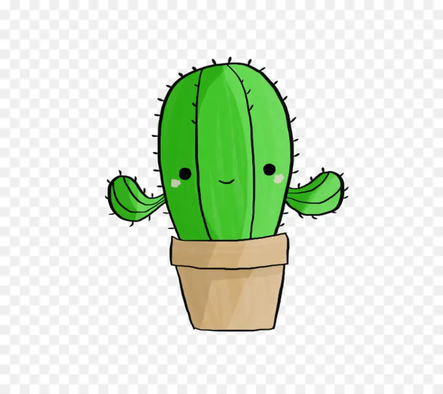 Cactaceae，Dibujo PNG