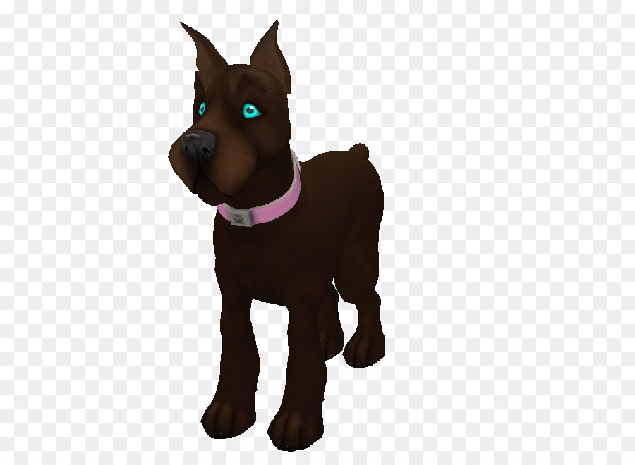 Raza De Perro，Cachorro PNG