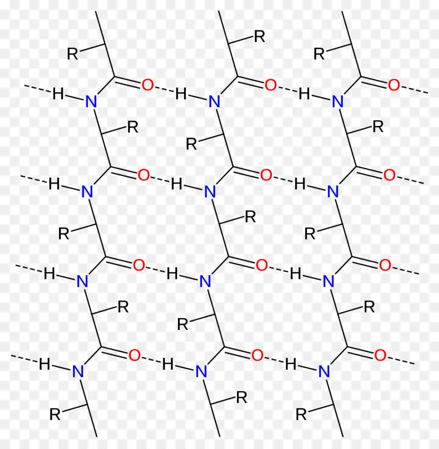 Hoja Beta，Alfa Hoja PNG