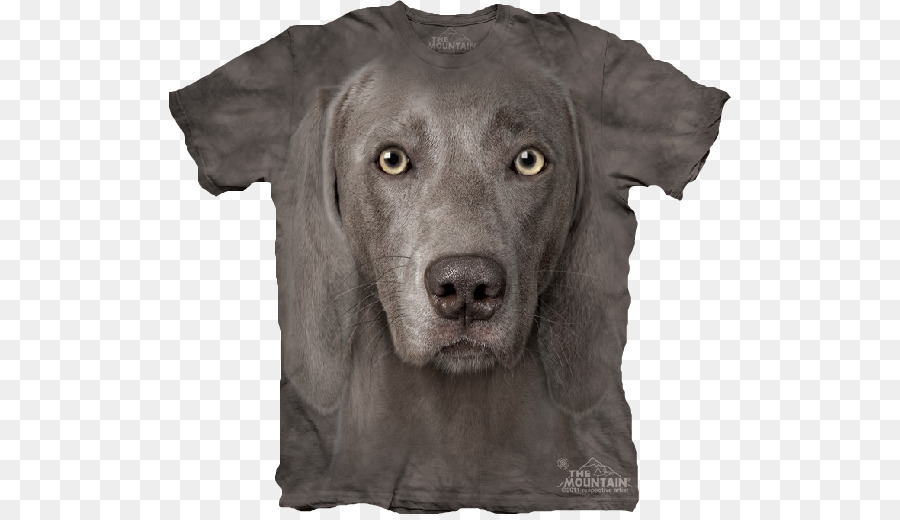 Camiseta，Weimaraner PNG