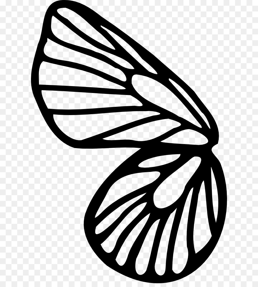 Mariposa，Dibujo PNG