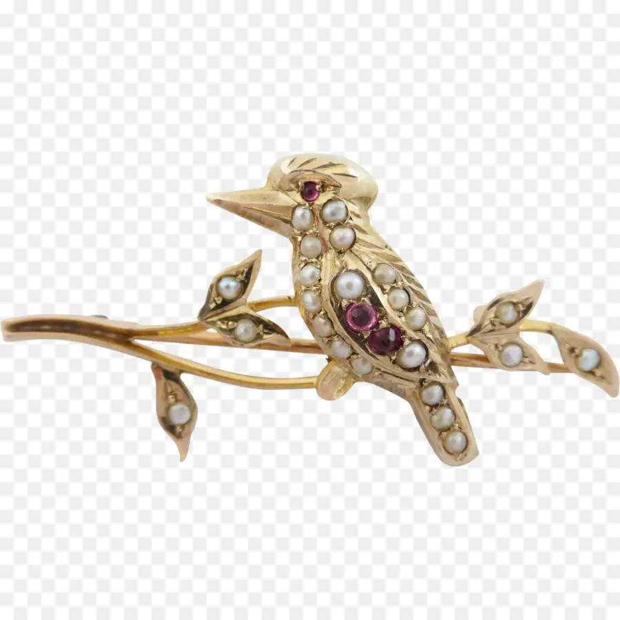 Australia，Broche PNG