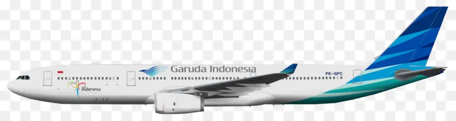 Boeing 737 Next Generation，Boeing 767 PNG