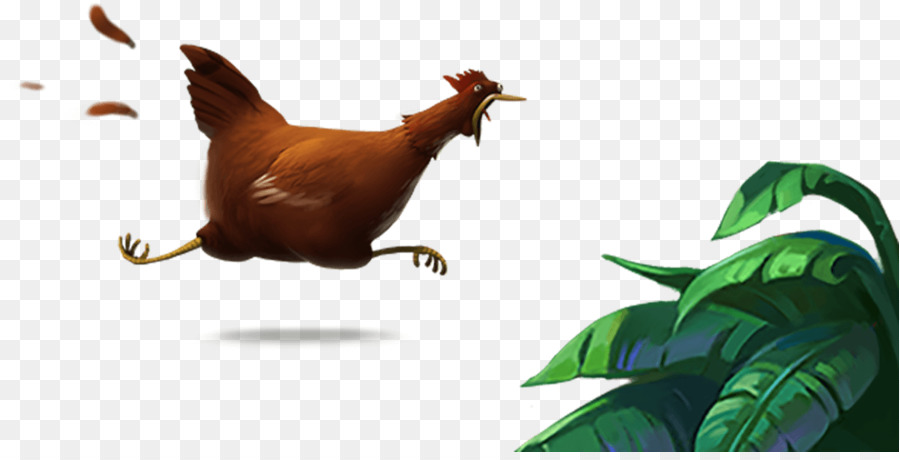 Gallo，Pollo PNG