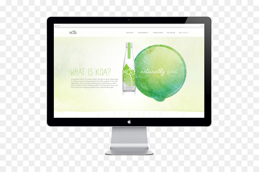 Microsite，Diseño Web PNG