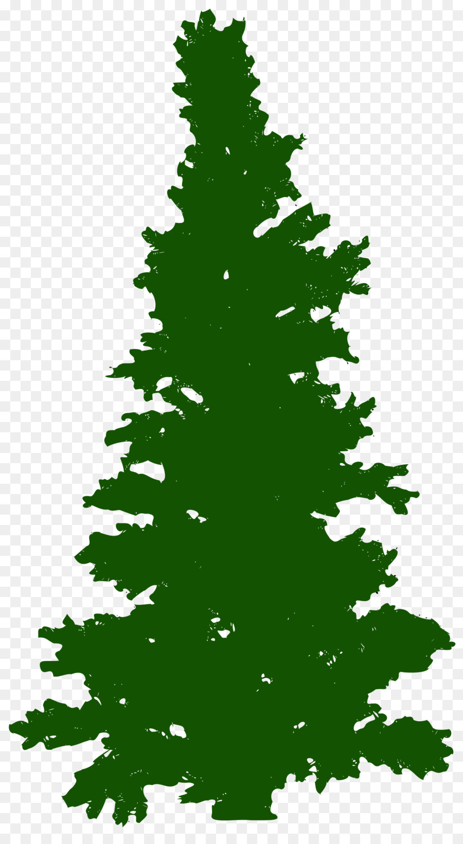 árbol，Pino PNG