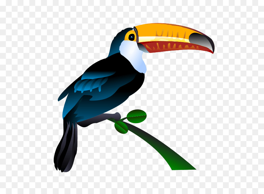 Parrot，Tucán PNG