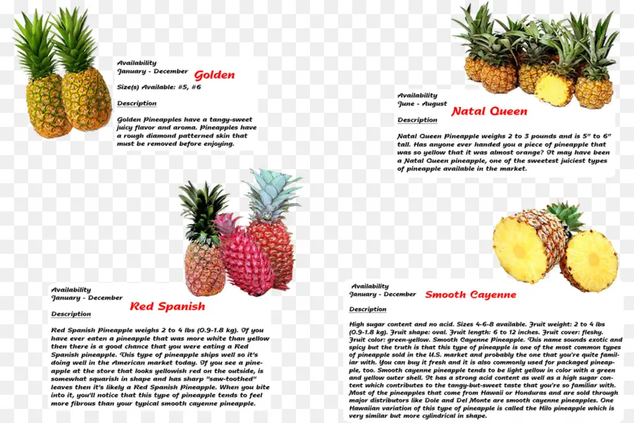 Piña，Cocina Vegetariana PNG