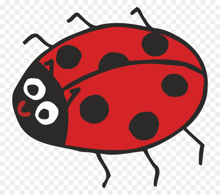 Escarabajo，Coccinella Septempunctata PNG