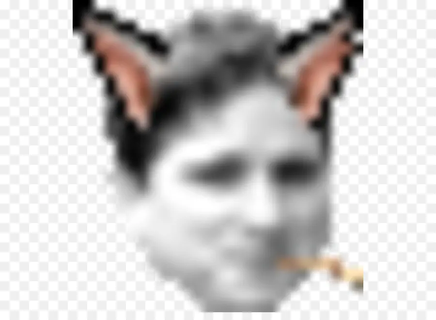 Twitch，Cubierta PNG