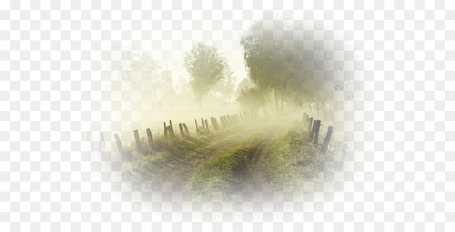 Camino Brumoso，Neblina PNG