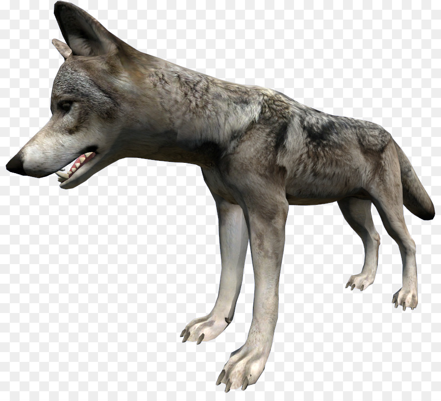 Saarloos Lobo，Perro Lobo Checoslovaco PNG