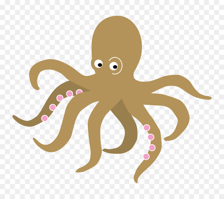 Pulpo Naranja，Tentáculos PNG